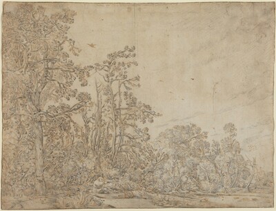 Woodland Pond with a Fisherman
