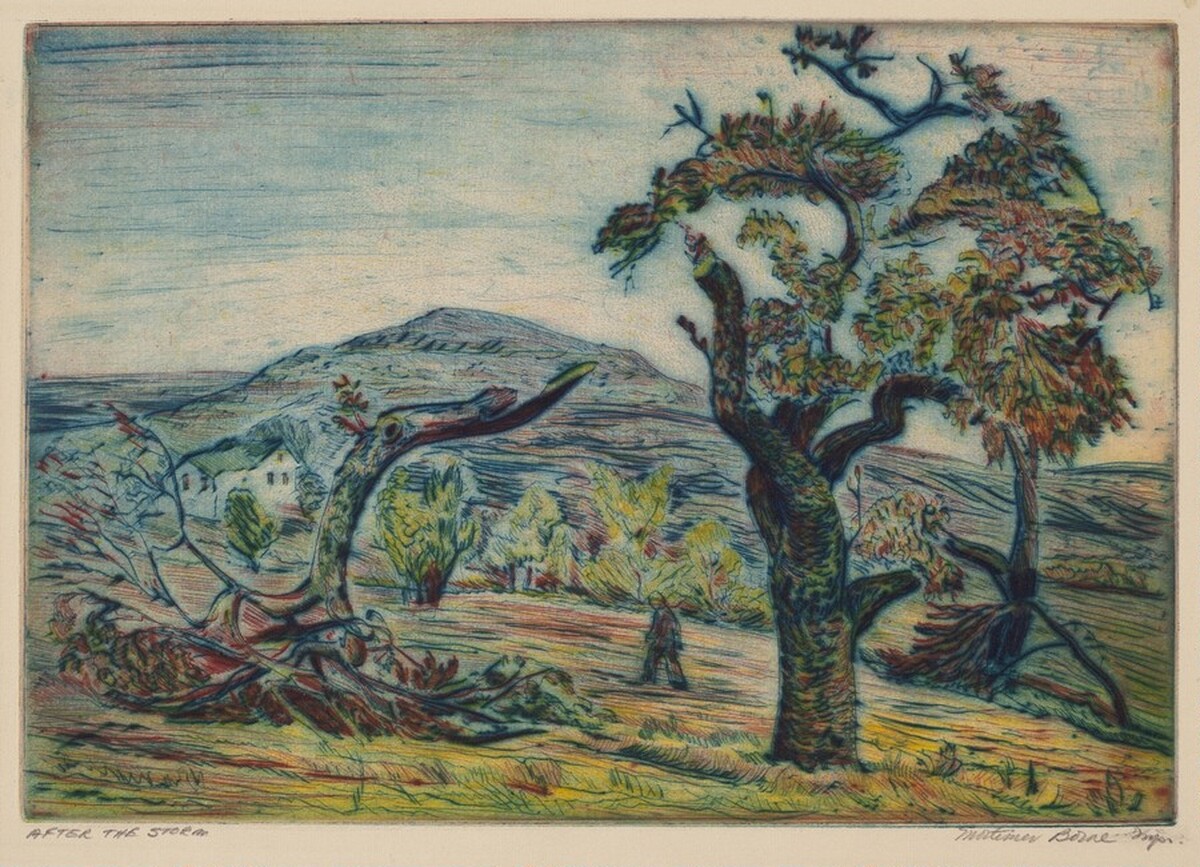 After the Storm by Mortimer Borne