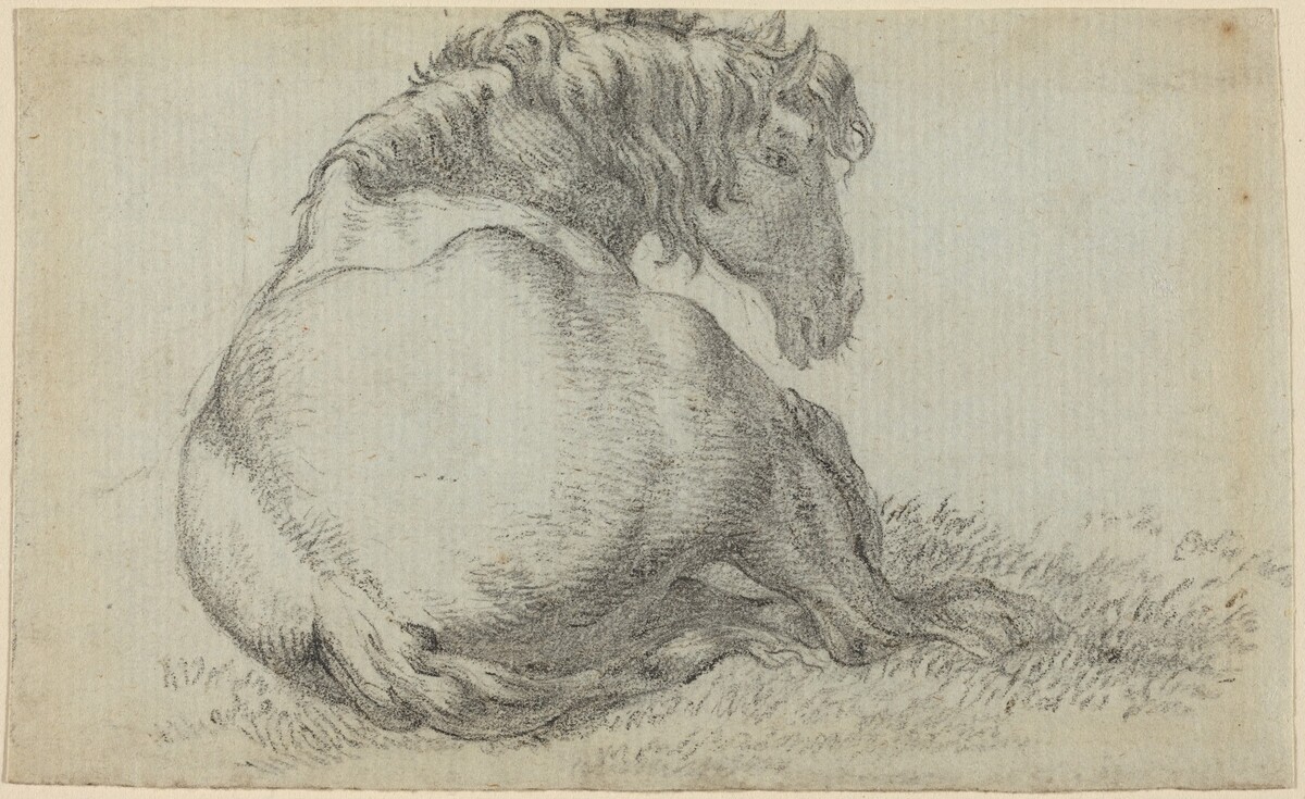 Resting Horse by Attributed to Paulus Potter