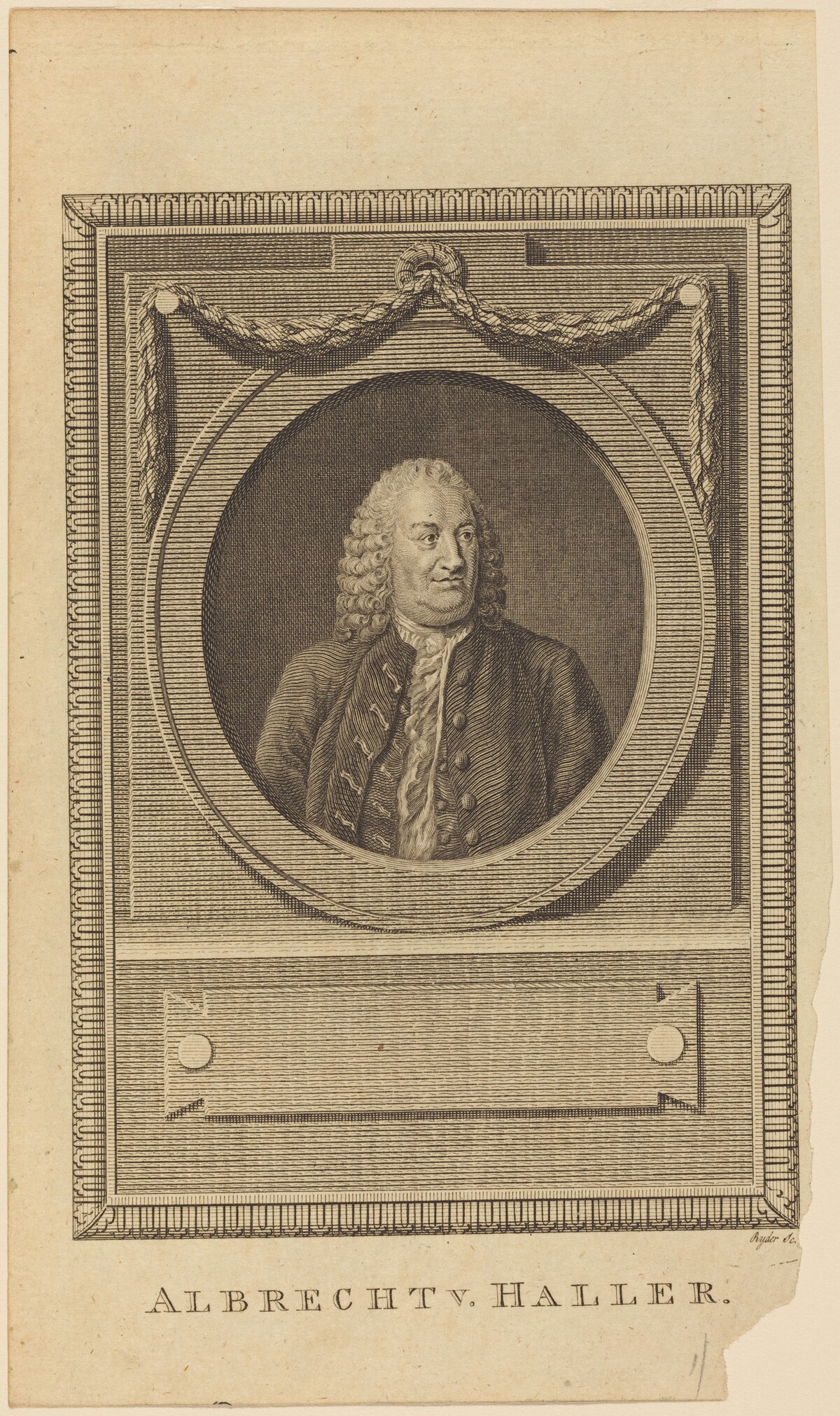 Albrecht V. Haller by Thomas Ryder