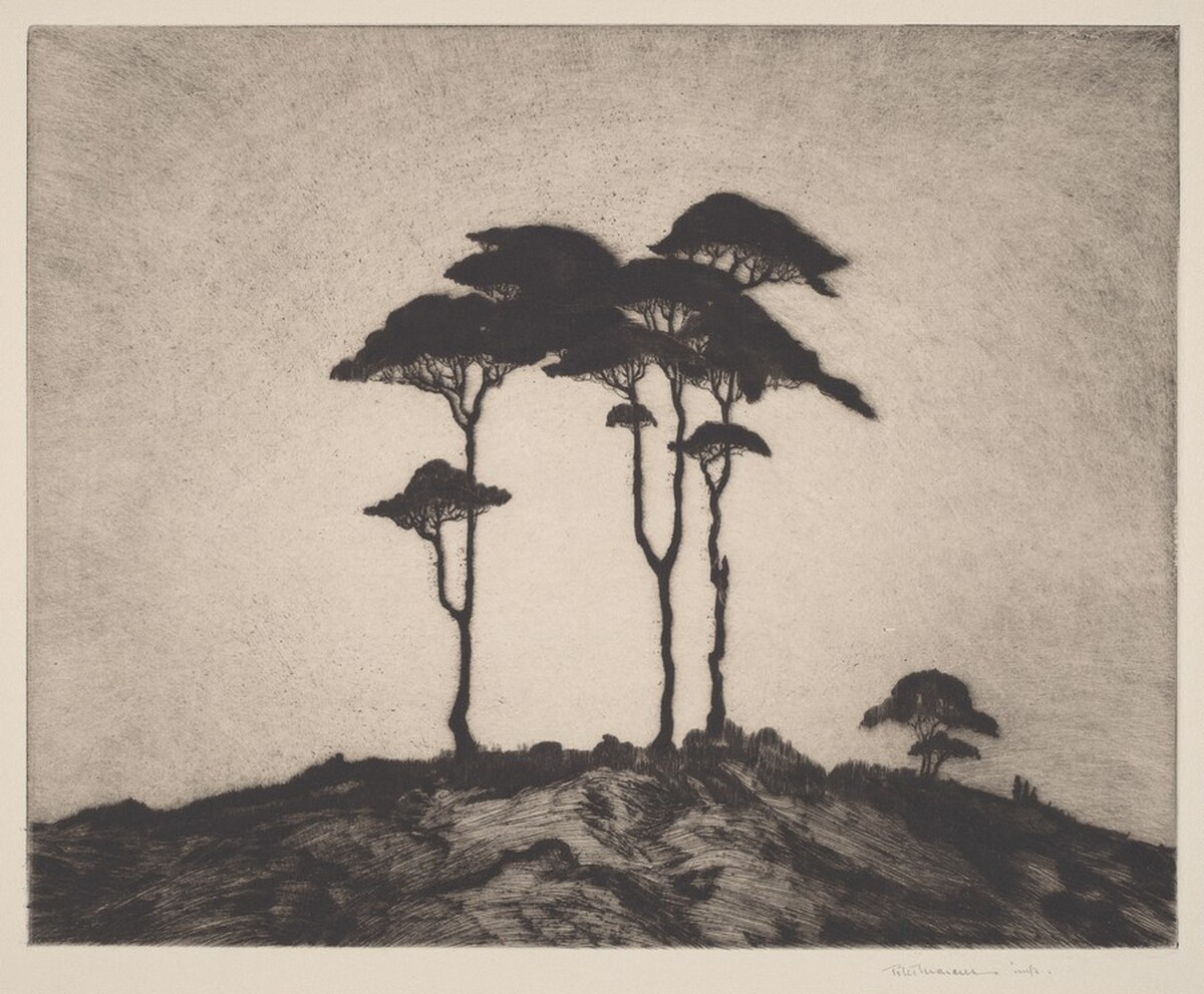 Dawn by Peter Marcus