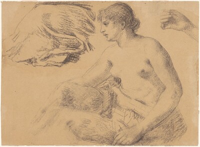 Nude Study