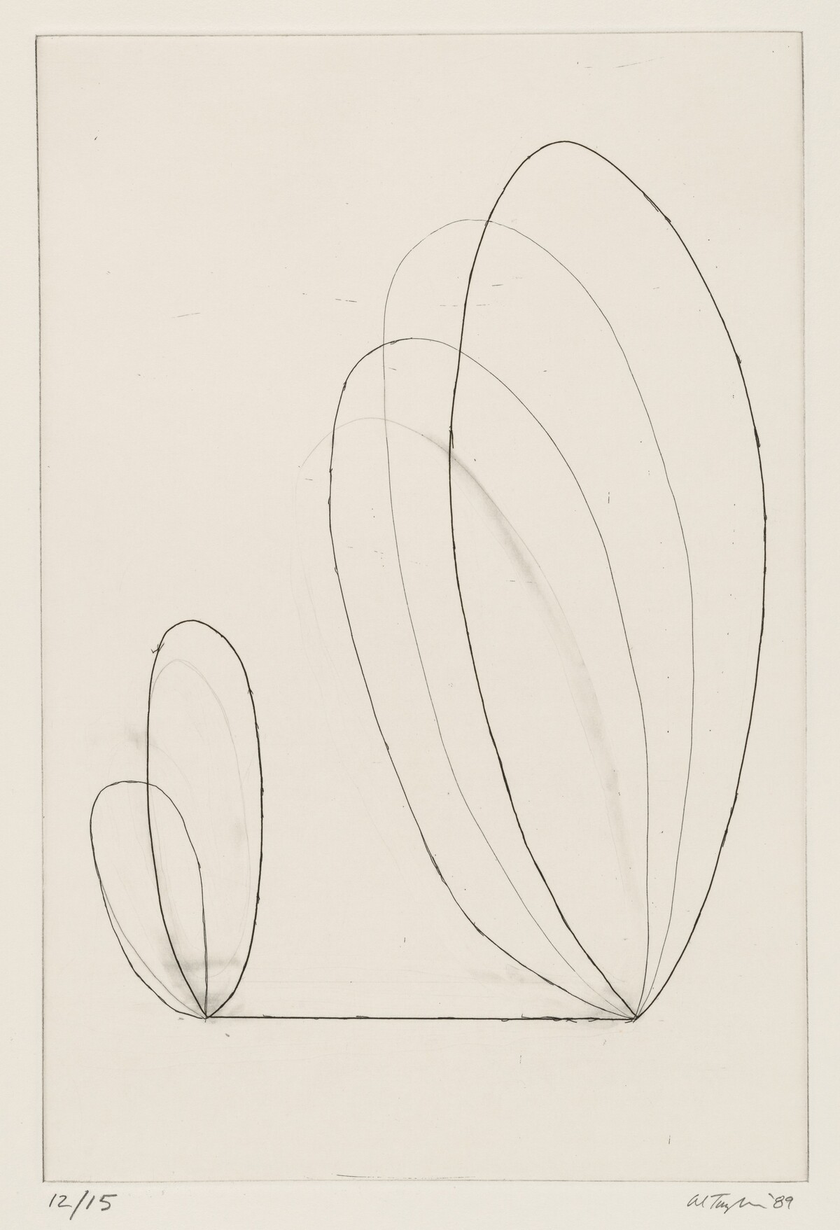 Palm Root by Al Taylor