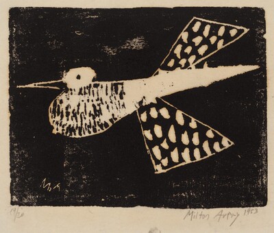 Flight