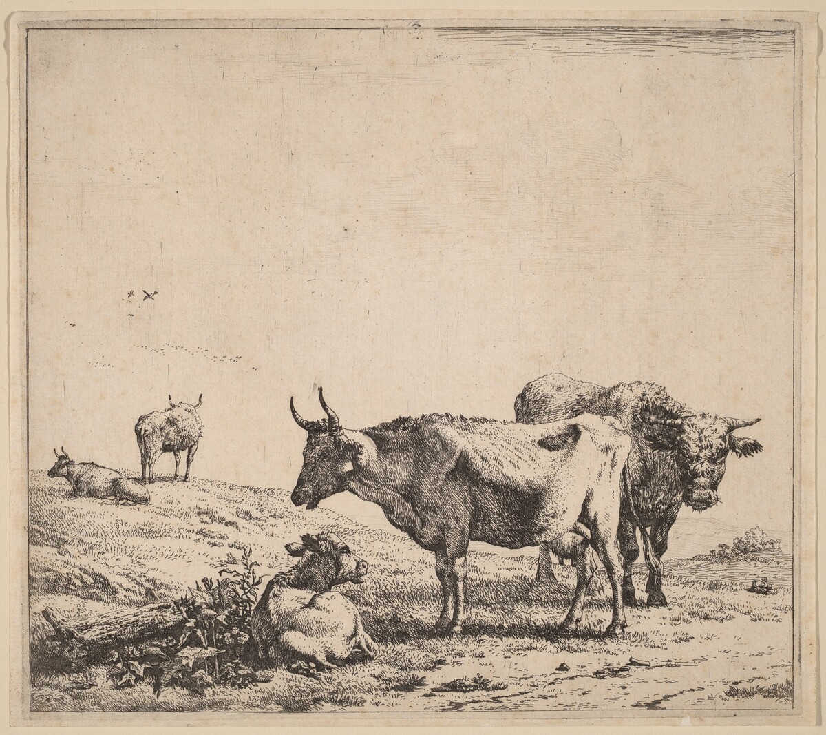 Cow, Bull and Calf by Karel Dujardin