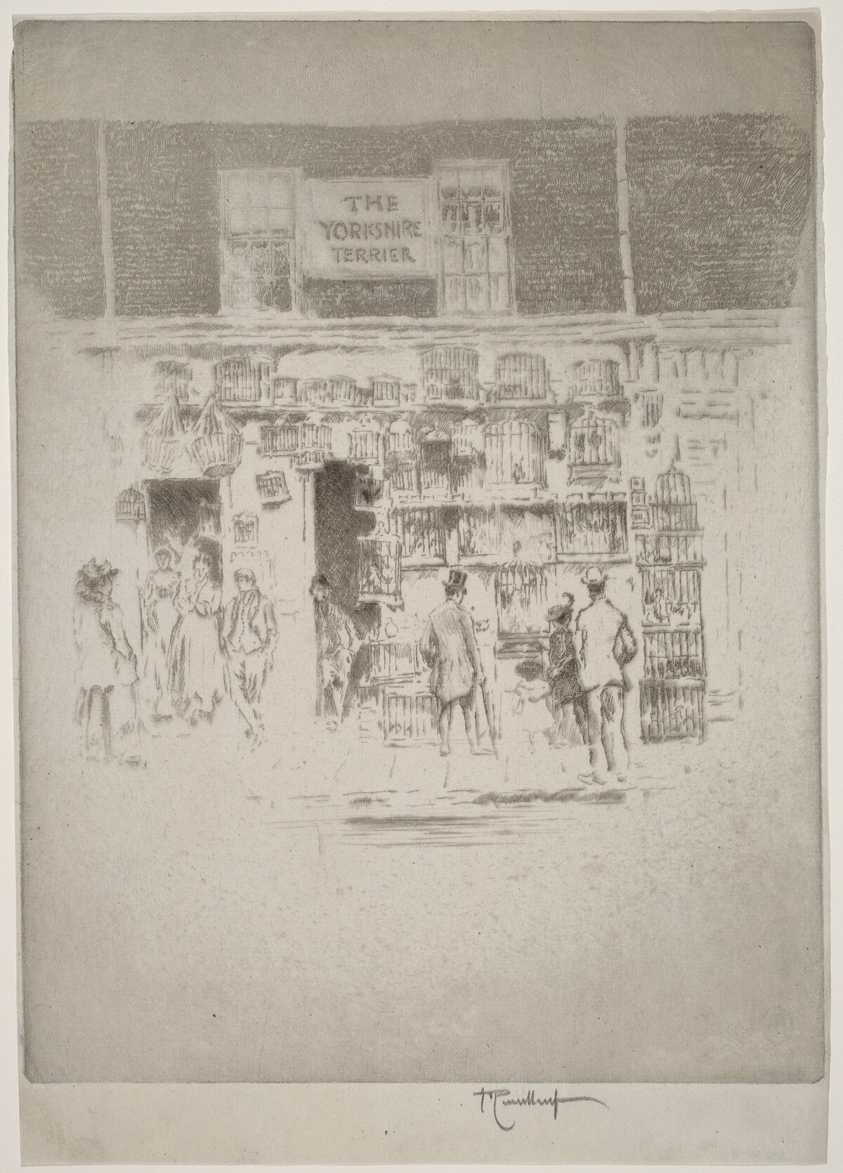 The Yorkshire Terrier by Joseph Pennell