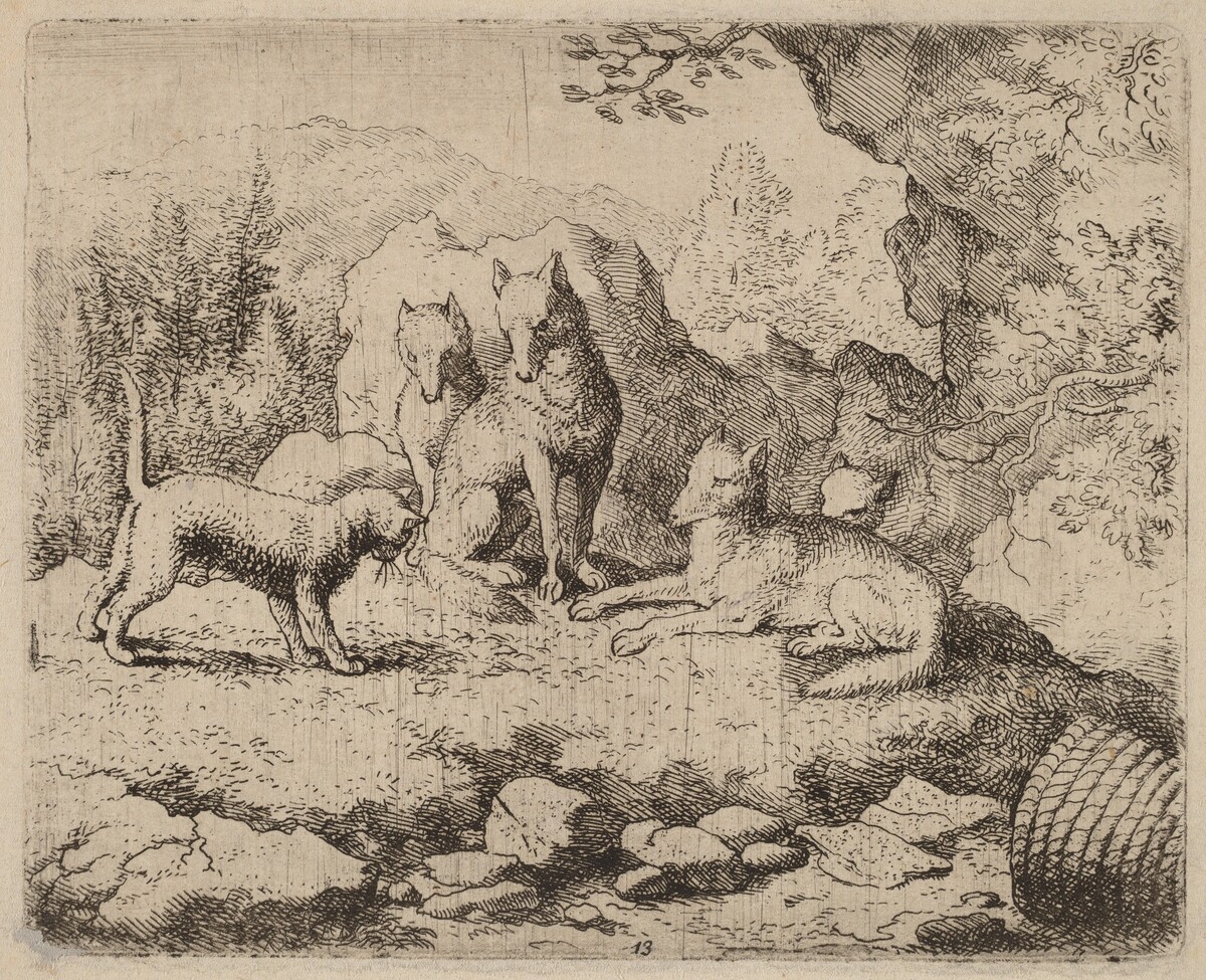 The Cat Sent as Messenger by Allart van Everdingen