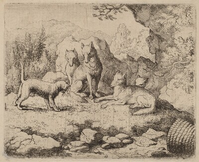 The Cat Sent as Messenger