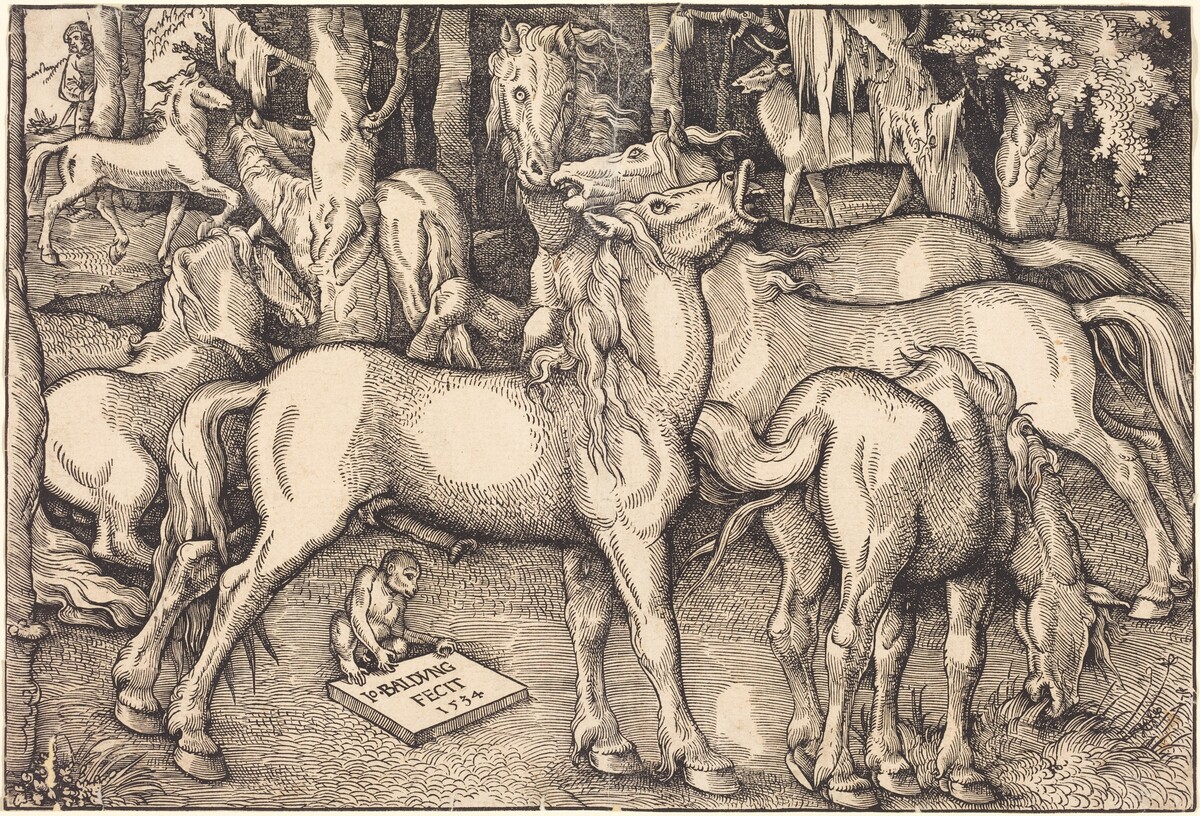 Group of Seven Horses by Hans Baldung Grien