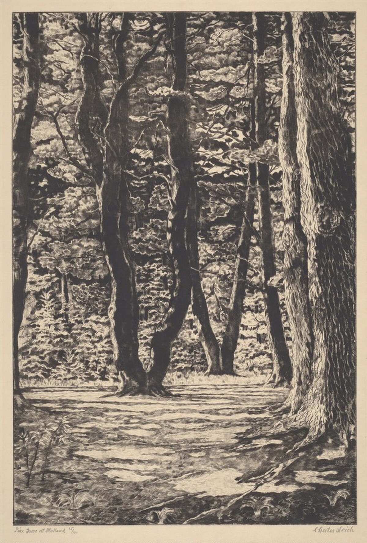 Pine Grove at Holland by Chester Leich