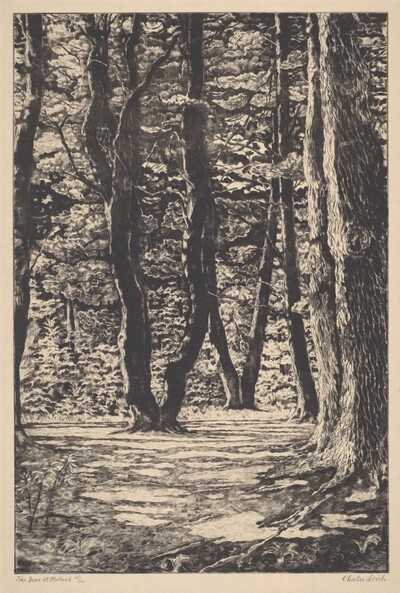 Pine Grove at Holland