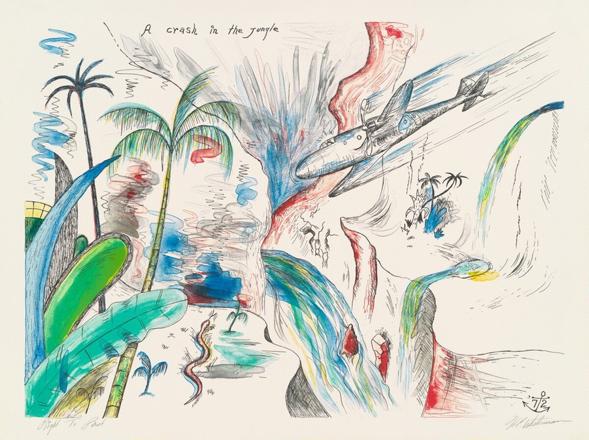 Crash in the Jungle by H.C. Westermann
