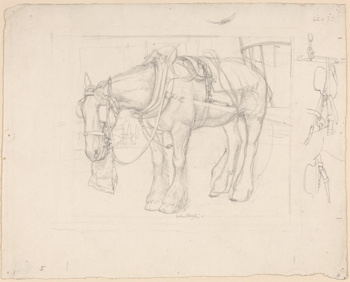 The Trace Horse by Robert Austin