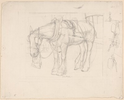 The Trace Horse