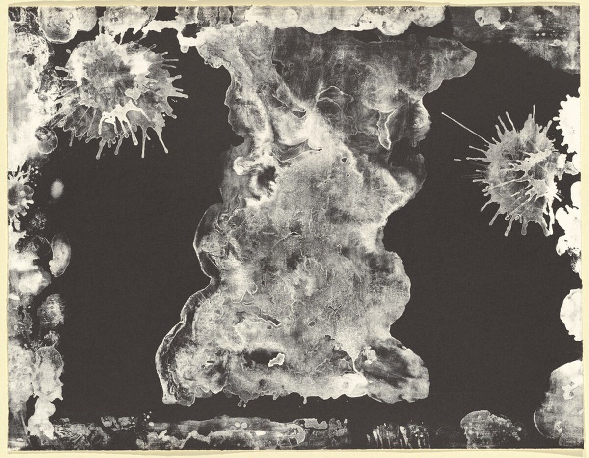 Plane Tree Reversal by Ruth Asawa