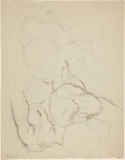 Two Male Nudes seen from Above