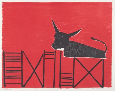 Penned Bull