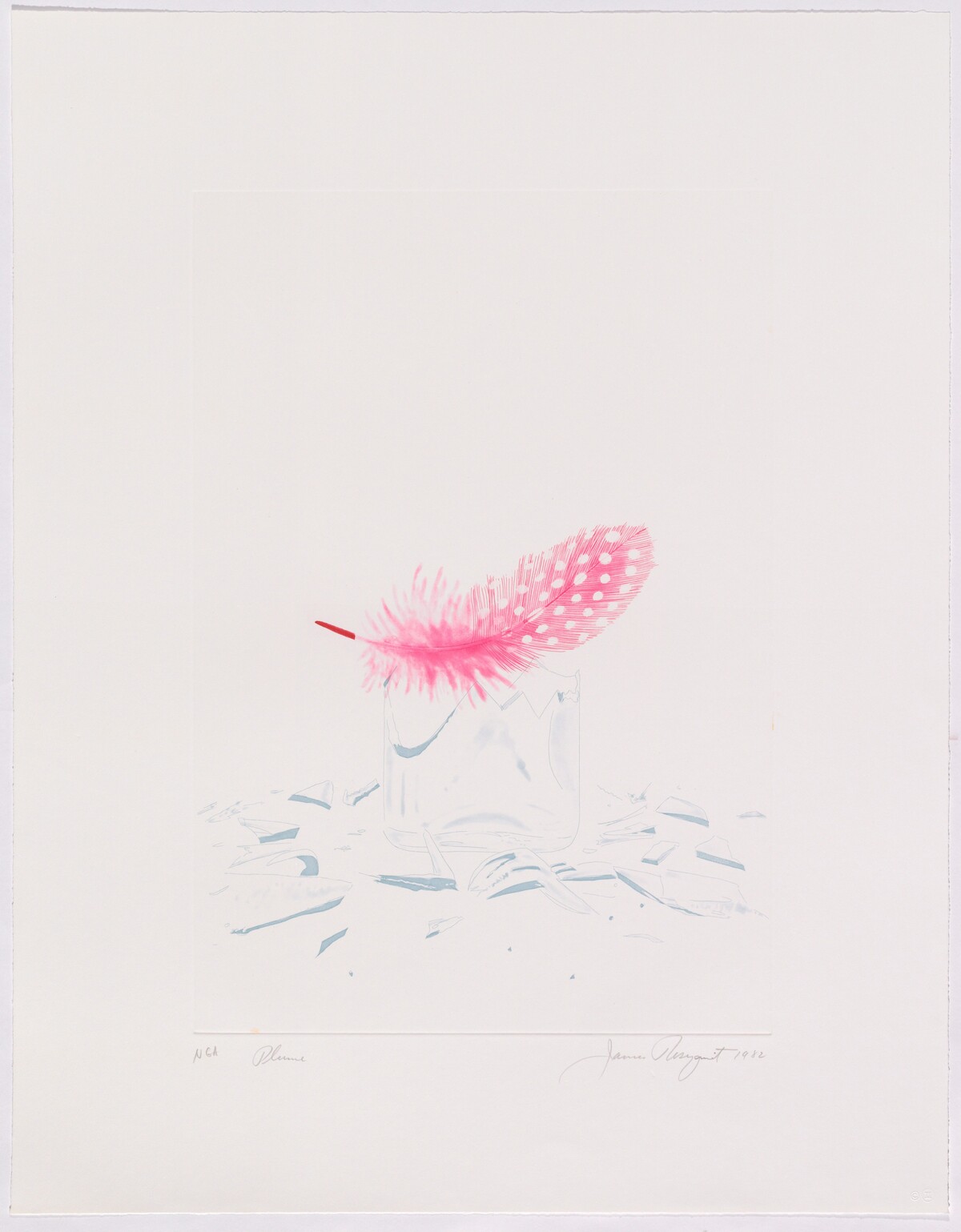 Plume by James Rosenquist
