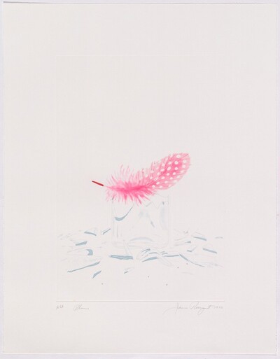 Plume