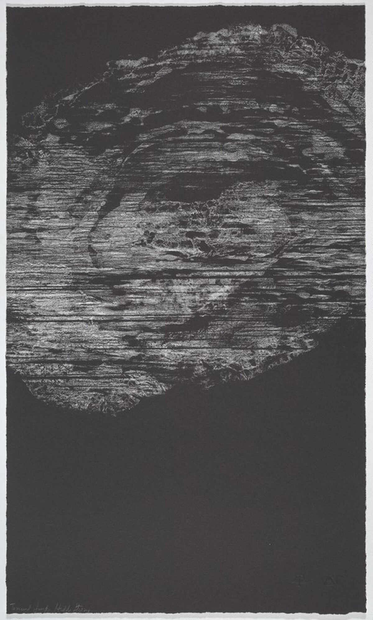 Untitled by Hedda Sterne