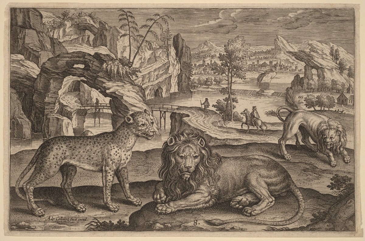 A Leopard and Two Lions by Adriaen Collaert