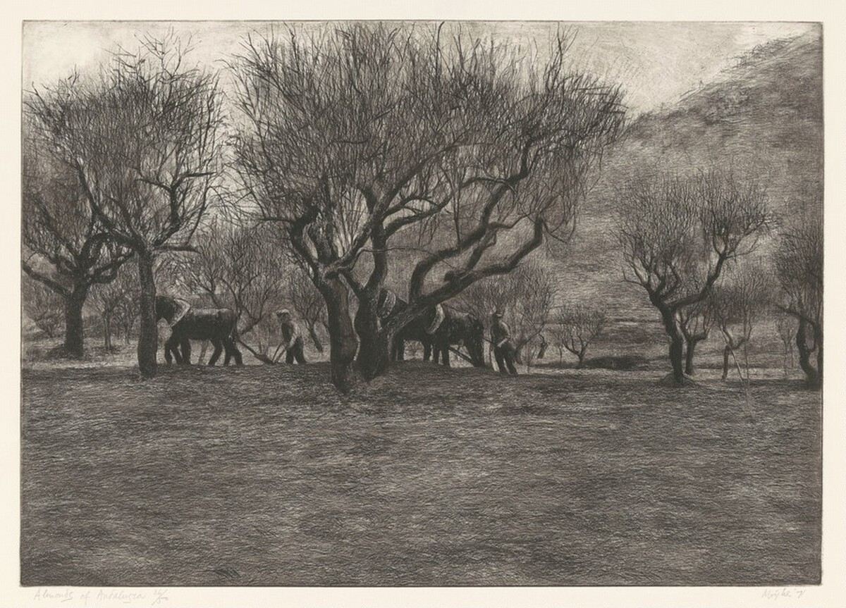 Almonds of Andaluzia by Moishe Smith