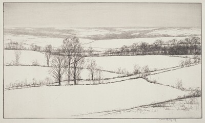 Snow Fields
