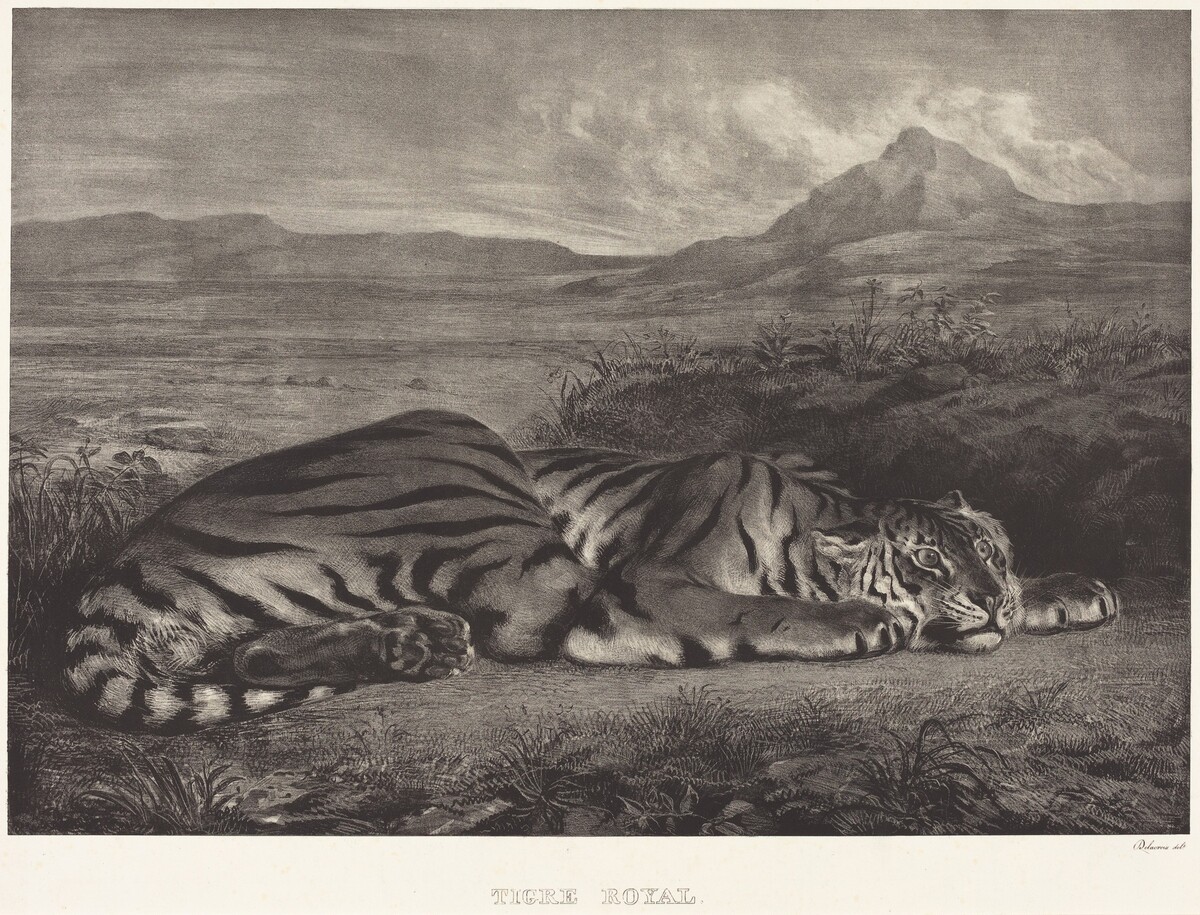 Royal Tiger (Tigre Royal) by Eugène Delacroix