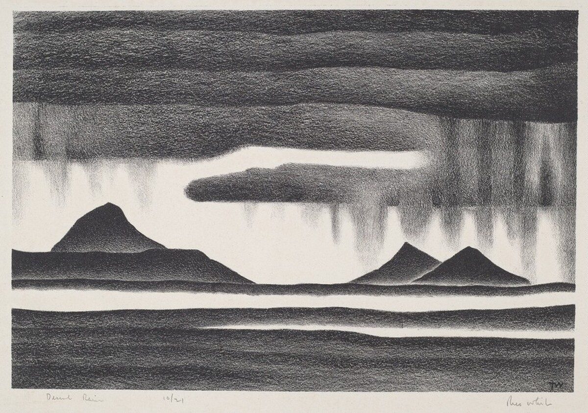 Desert Rain by Theo Ballou White