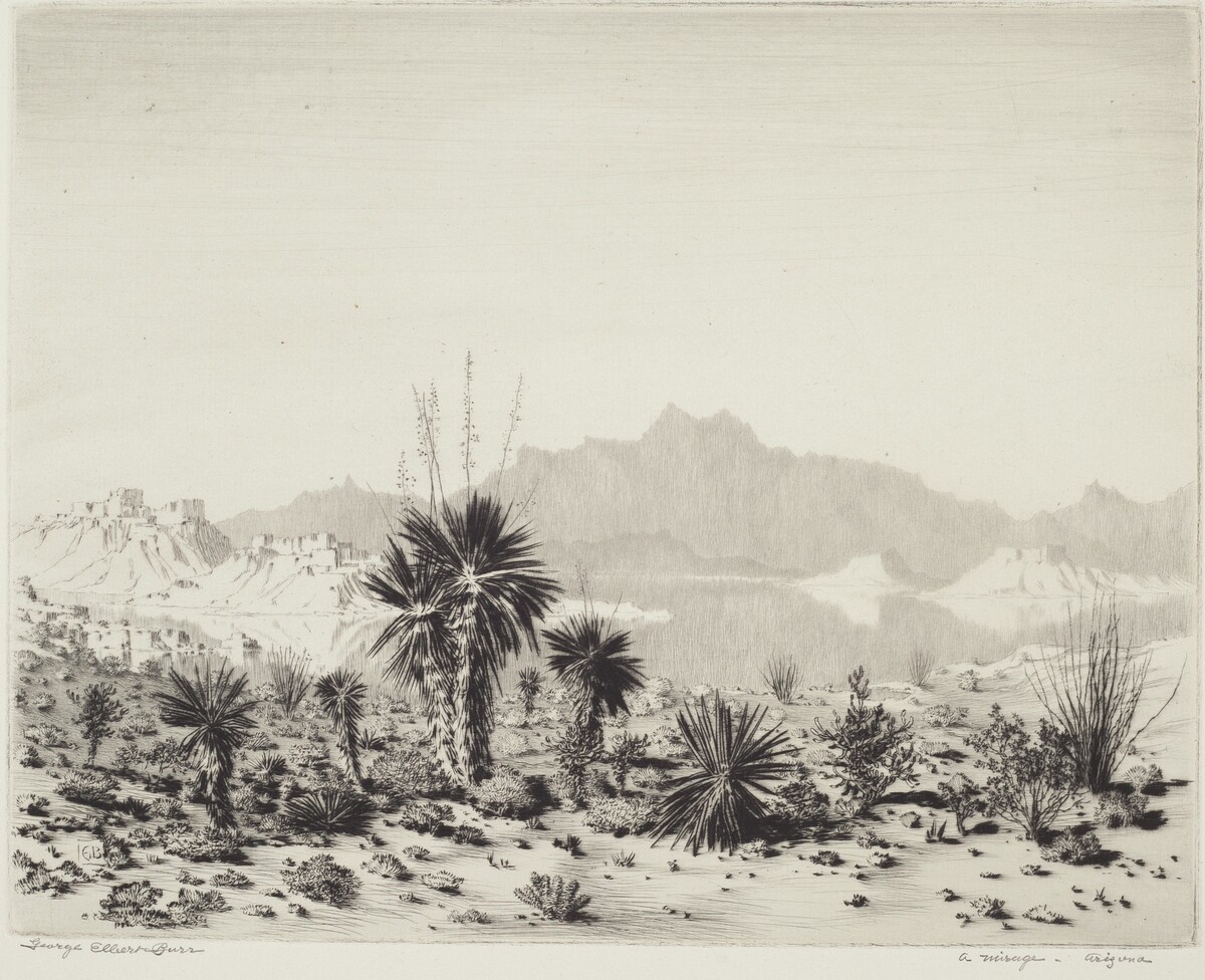 A Mirage, Arizona by George Elbert Burr