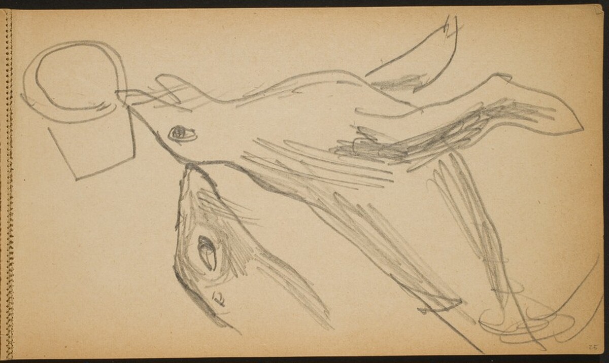 Zirkusnummer mit zwei Seelöwen (Two Performing Sea Lions) [p. 25] by Max Beckmann