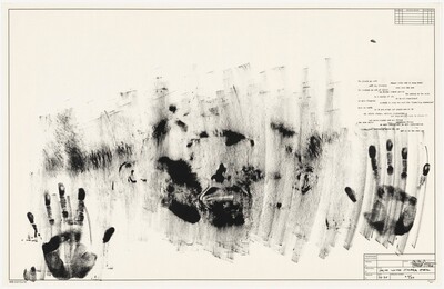 Skin with O'Hara Poem