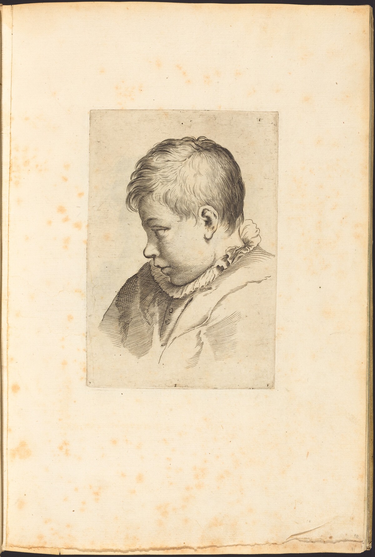 Print from Drawing Book by Luca Ciamberlano