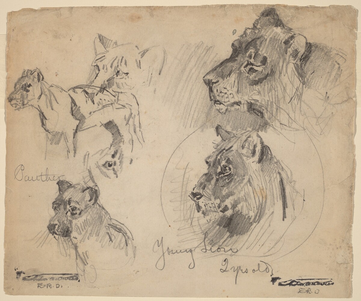 Panther and Young Lion Studies by Arthur B. Davies