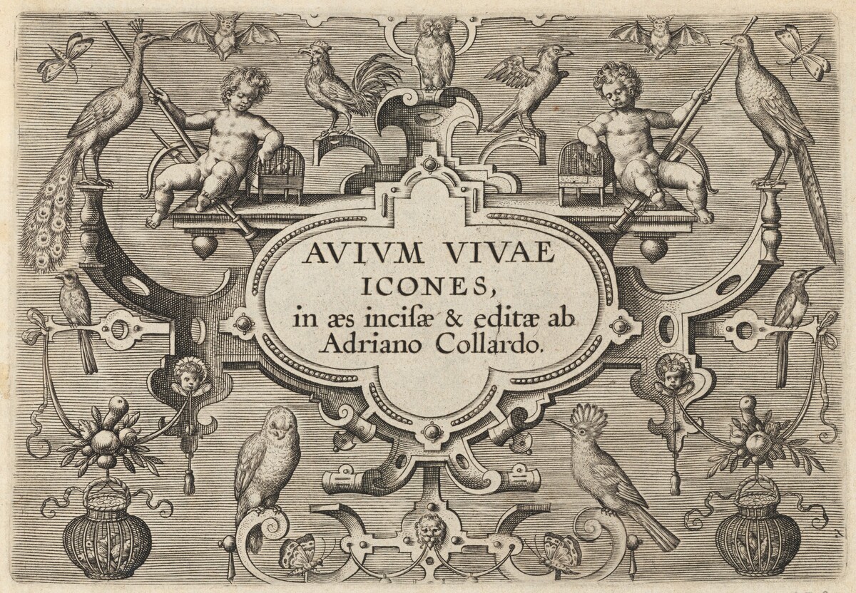 Title Page by Adriaen Collaert