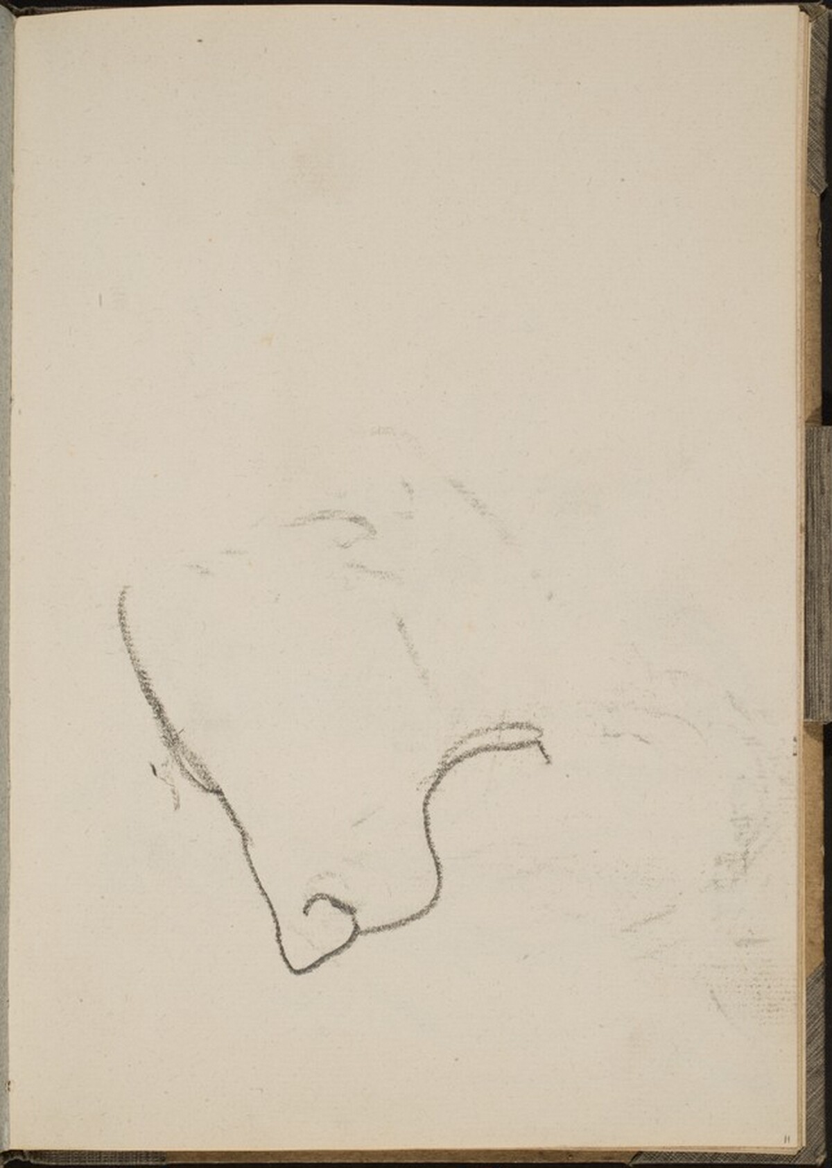 Begonnener Löwenkopf (Sketch of Lion Face) [p. 11] by Max Beckmann