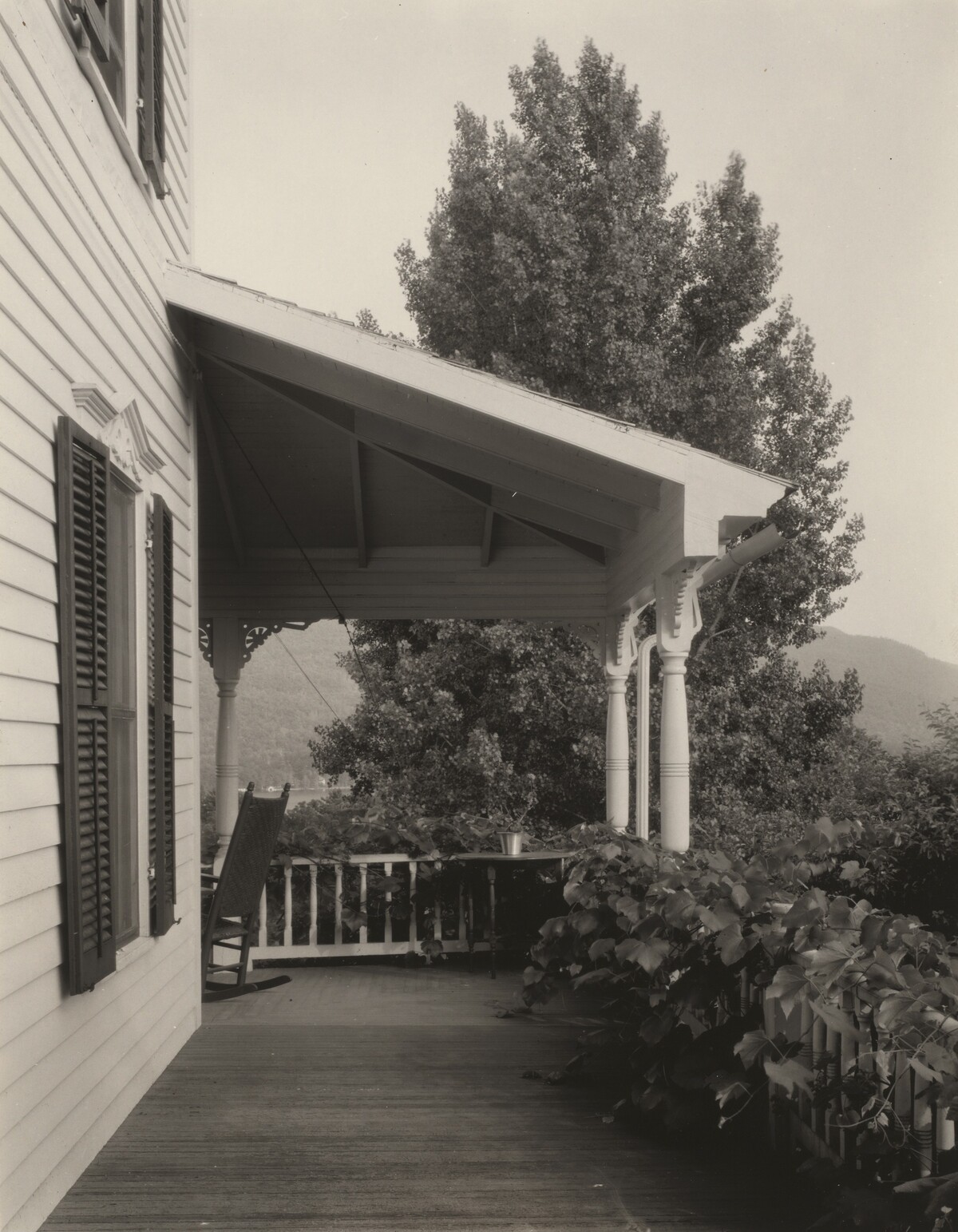 House, Leaves and Tree by Alfred Stieglitz