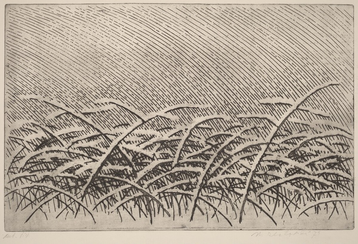 Zima (Winter) by Marie Blabolilová