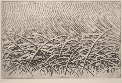 Zima (Winter)