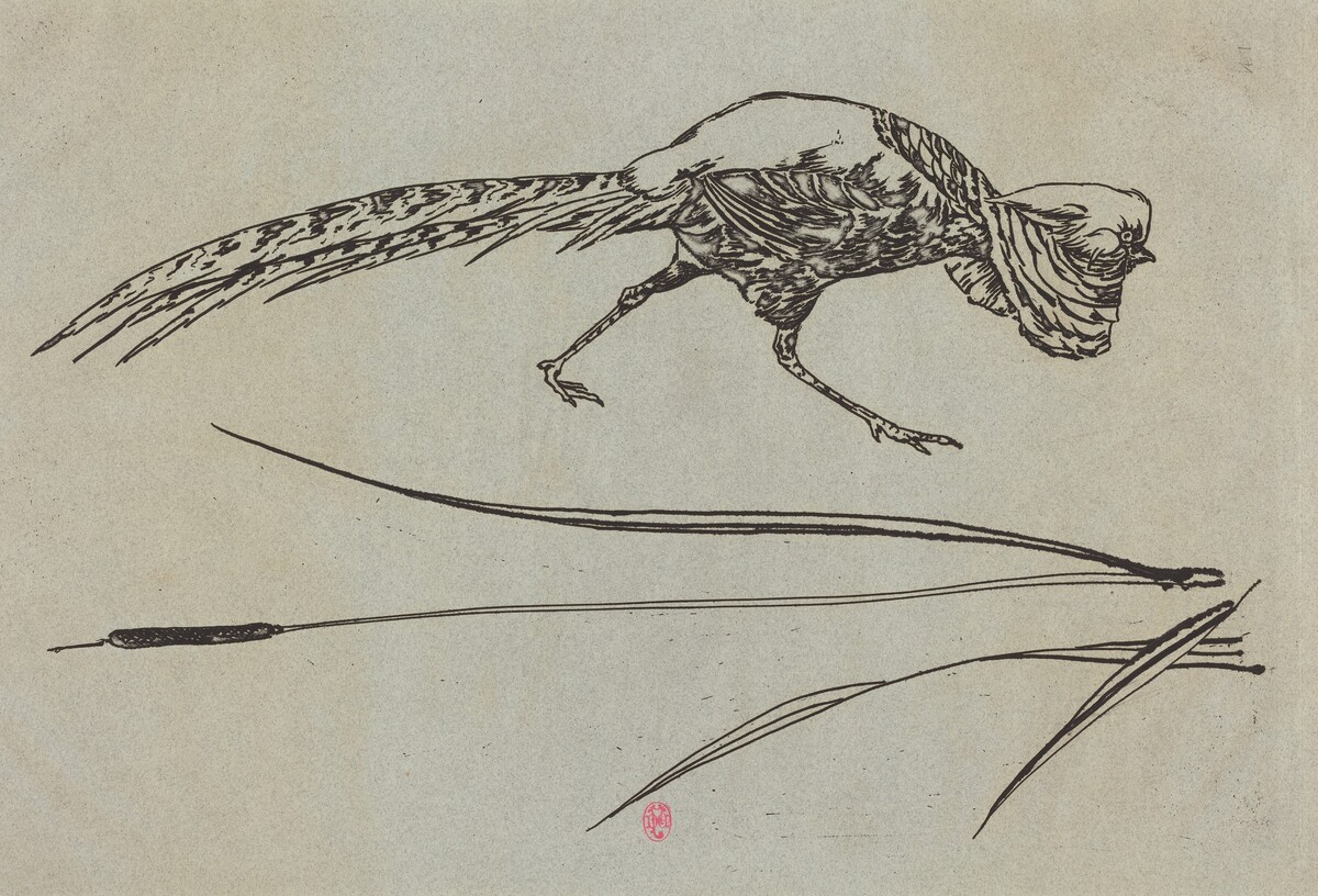 Pheasant and Cattail (Faisan et roseau) by Félix Bracquemond