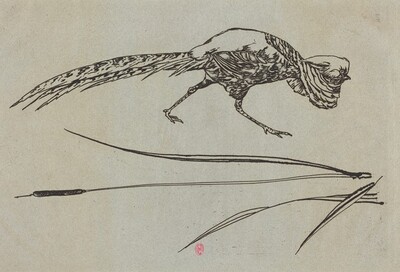Pheasant and Cattail (Faisan et roseau)