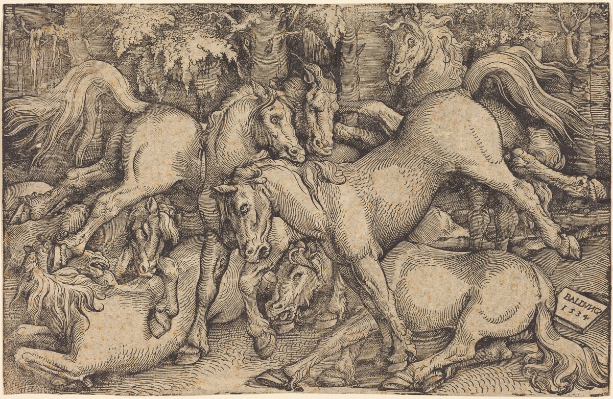 Group of Seven Horses in Woods by Hans Baldung Grien