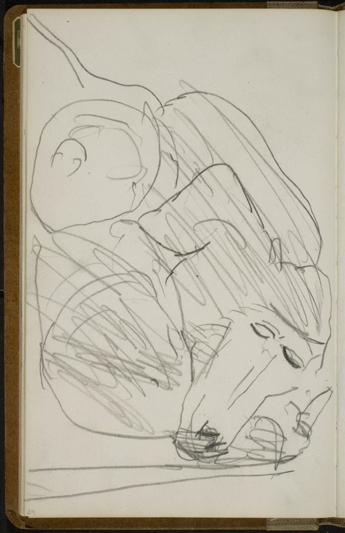 Schlafender Mandrill (Sleeping Mandrill) [p. 24] by Max Beckmann