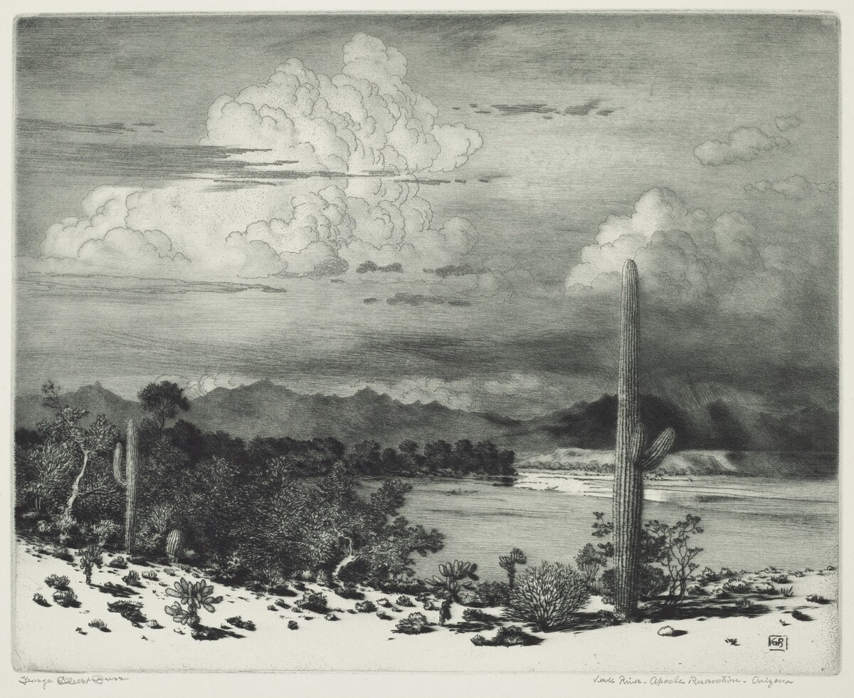 Verde River, Apache Reservation, Arizona by George Elbert Burr
