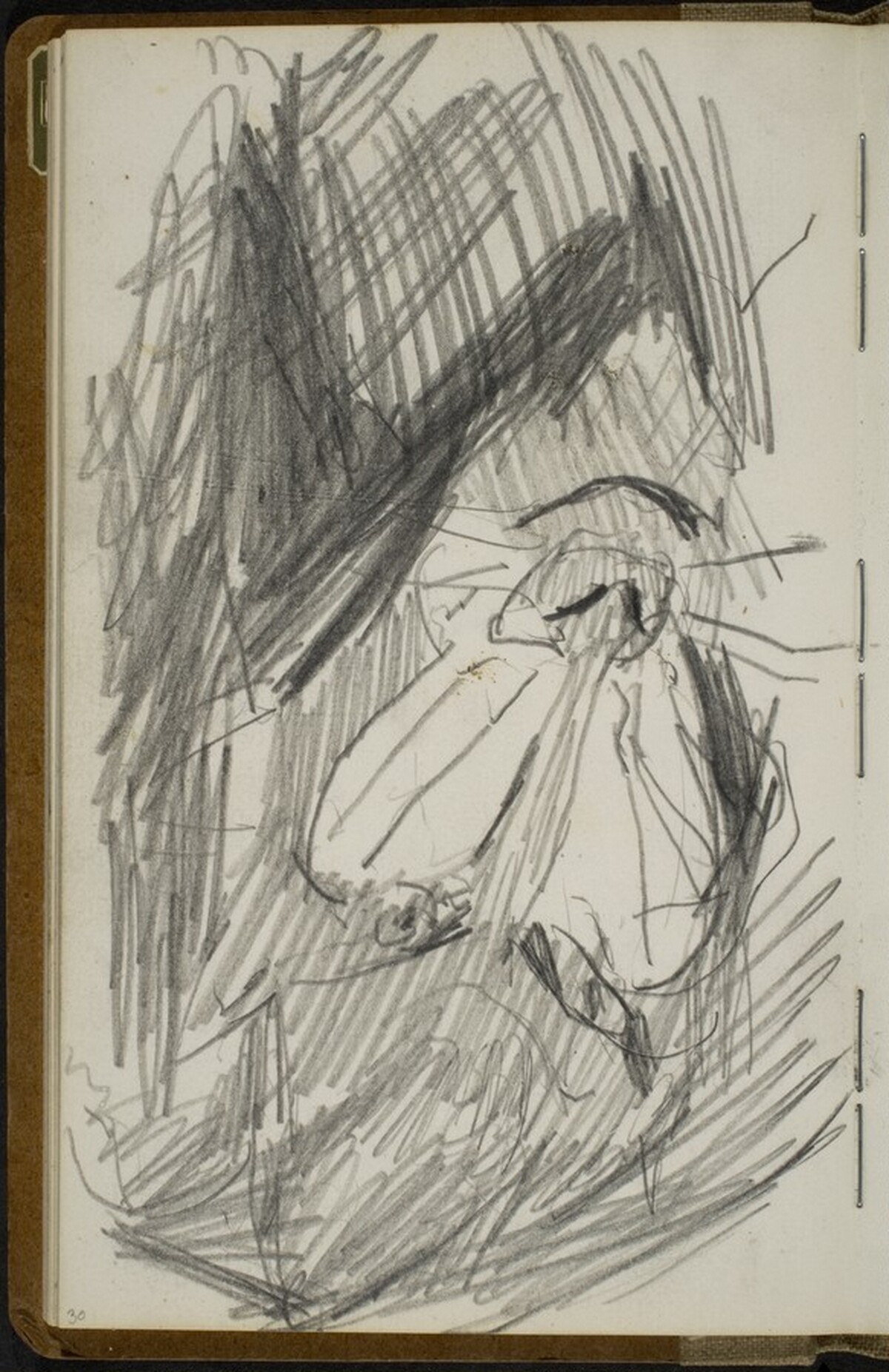Mandrill [p. 30] by Max Beckmann