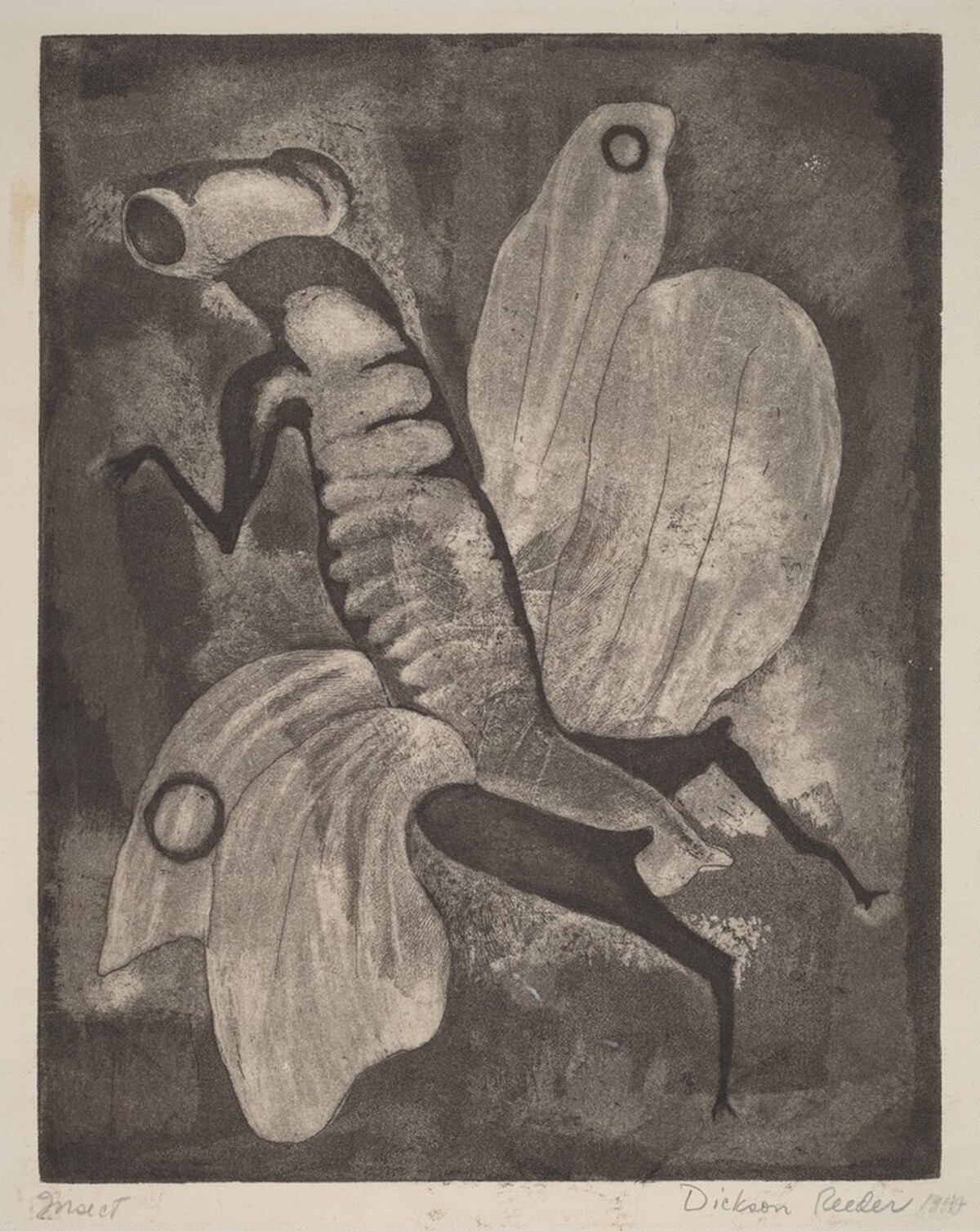 Insect by Dickson Reeder