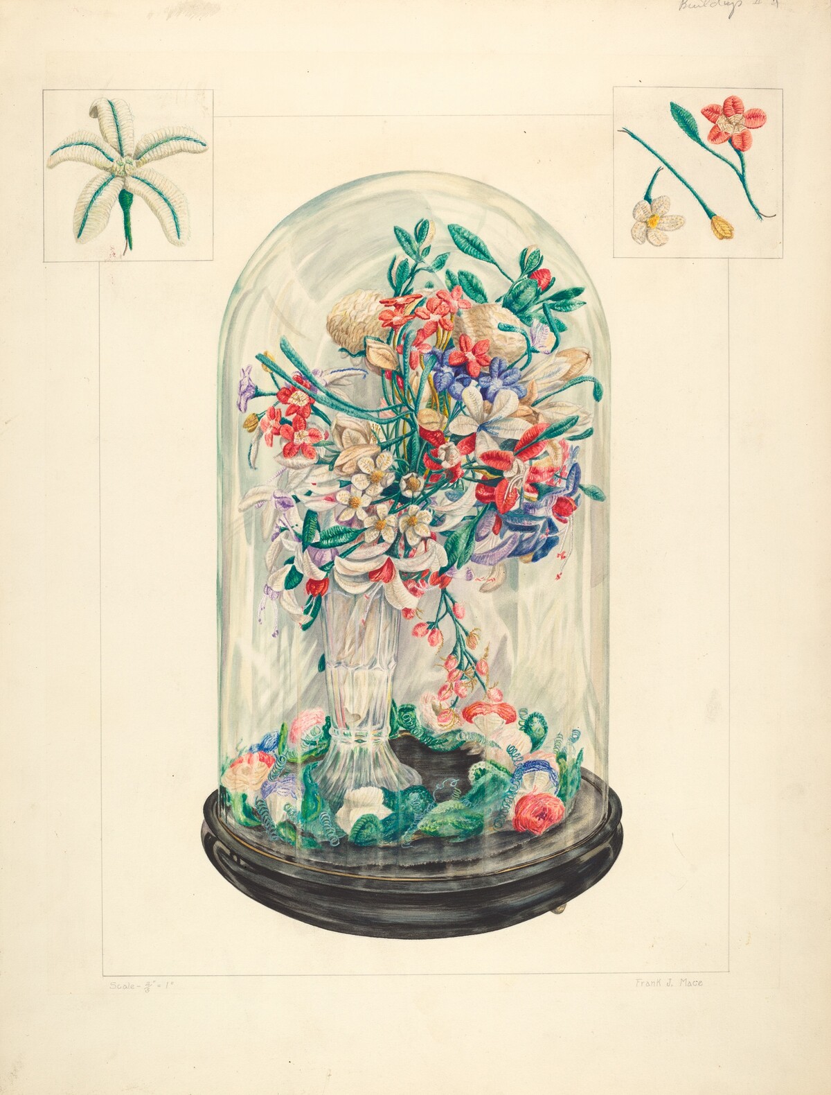 Wool Flowers Under Glass by Frank J. Mace