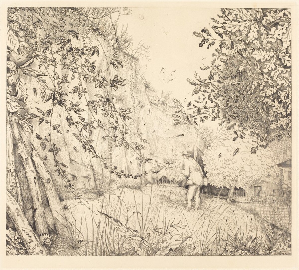 L'entomologiste by Jean-Émile Laboureur