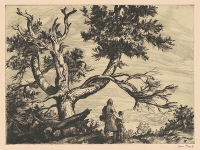 Picnic Place