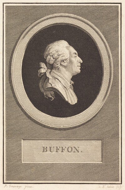 Buffon